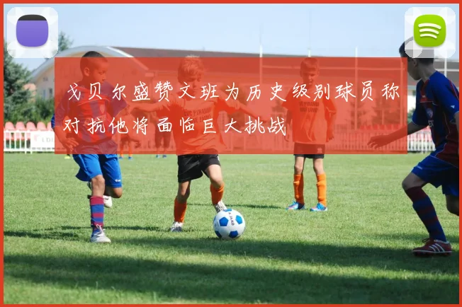 戈贝尔盛赞文班为历史级别球员称对抗他将面临巨大挑战